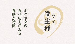 晩生種：ホクホクの食べ応えがある食感が特徴