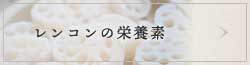 レンコンの栄養素