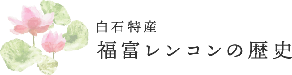 白石特産 福富レンコンの歴史